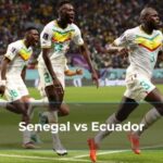 Senegal vs Ecuador